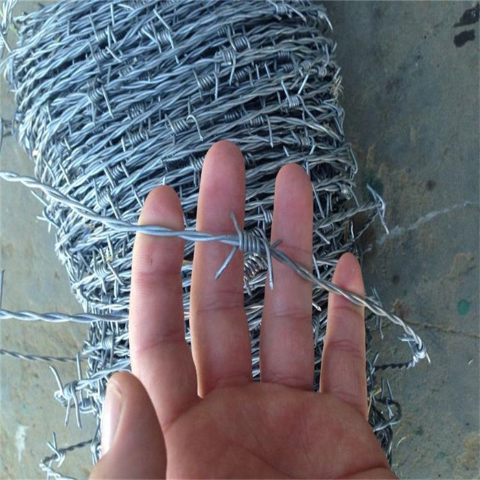 12*12 Double Twist Barbed Wire For Fence