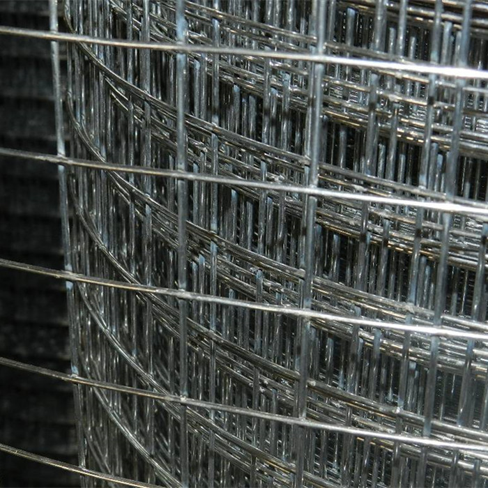 1”X 1” Galvanized Welded Wire Mesh Rolls