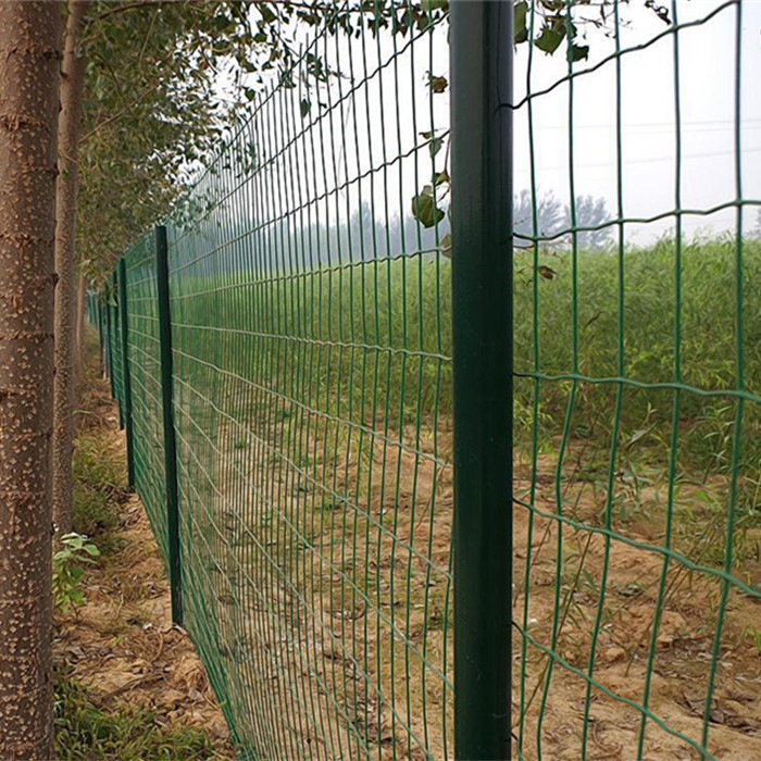 PVC Coated Holland Wire Mesh Fence